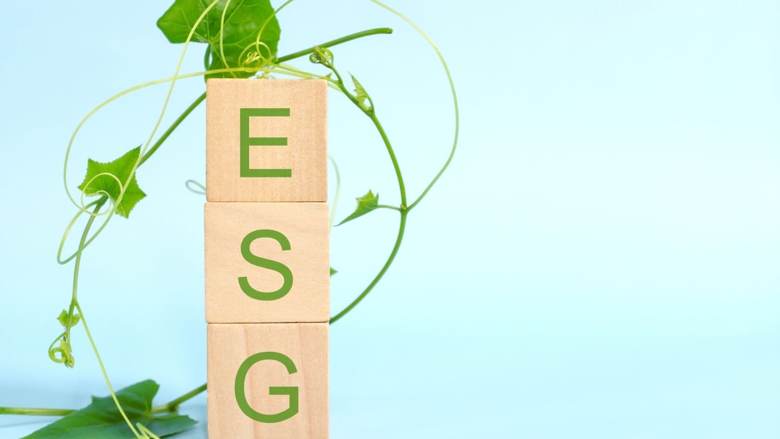 Sustainability, ESG & Green Skills