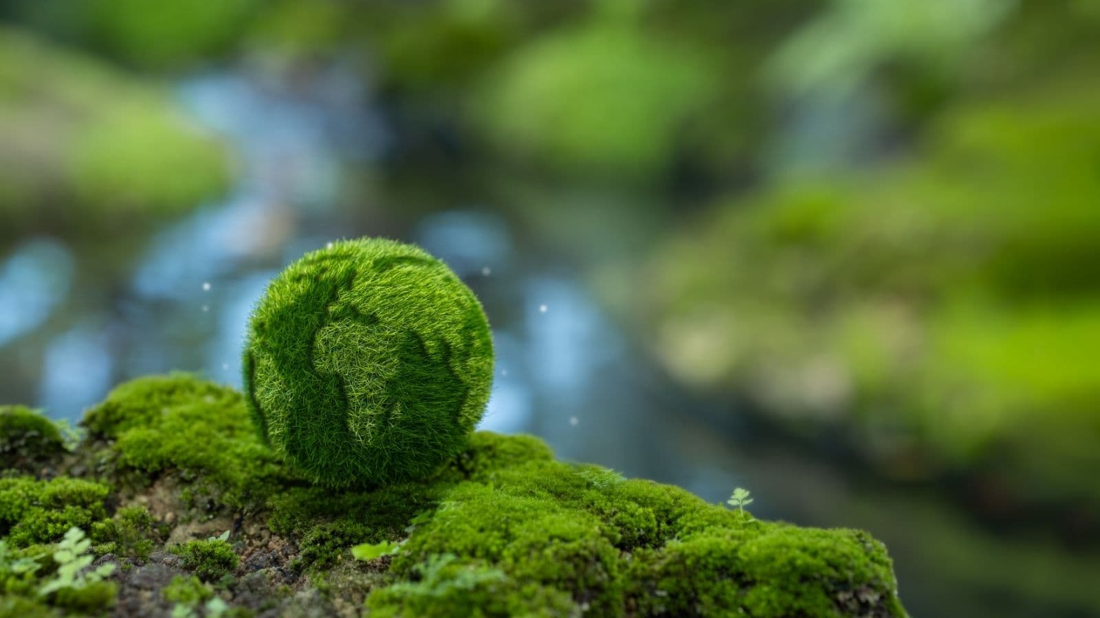 Carbon Footprint & Climate Awareness – July 2026