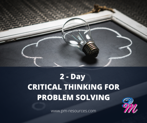 problem solving pm